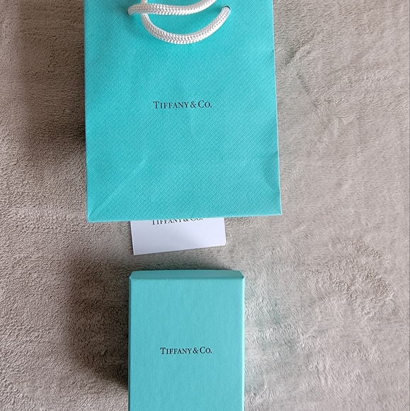 Tiffany & Co Jewelry Accessory Gift Box   and Shopping Paper Bag - Picture 3 of 4